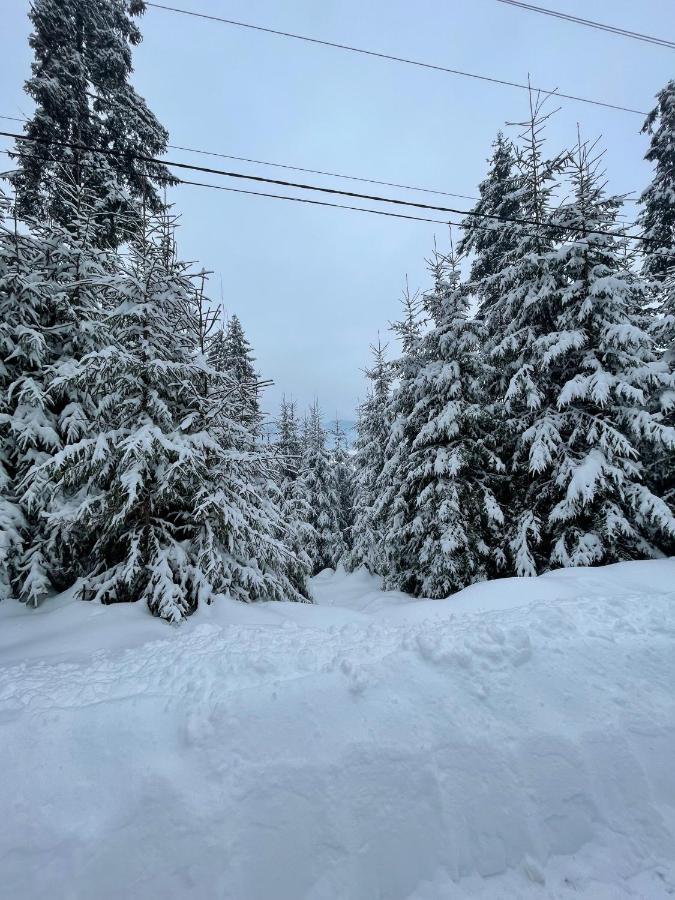 Котедж Chalet Adriana 부코벨 외부 사진